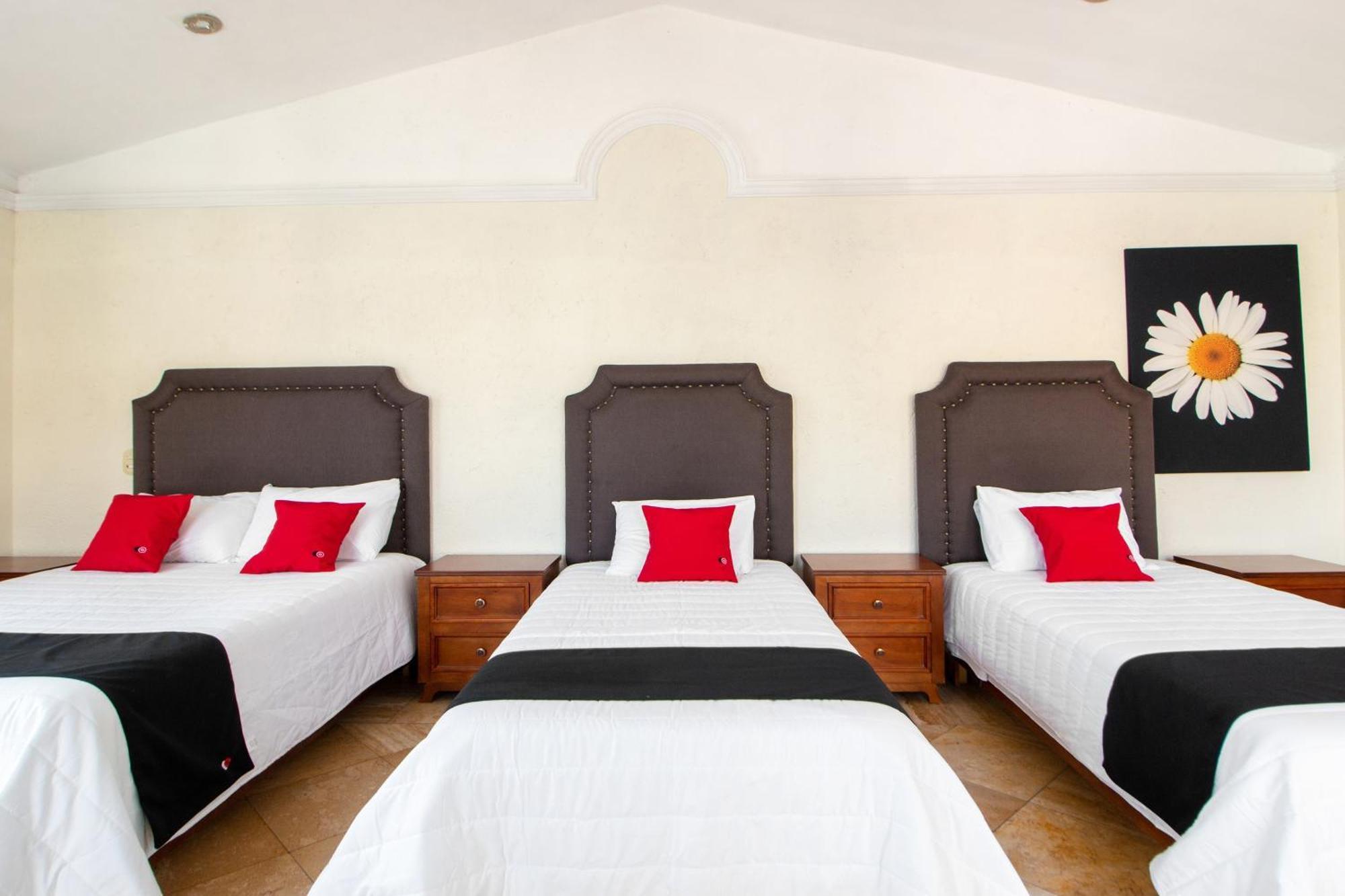 Capital O San Jose, San Luis Potosi Hotel Eksteriør billede
